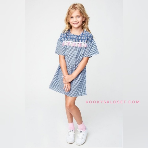 💥BIG SALE💥Mini Embroidered Gingham Shirt Dress - Picture 1 of 3